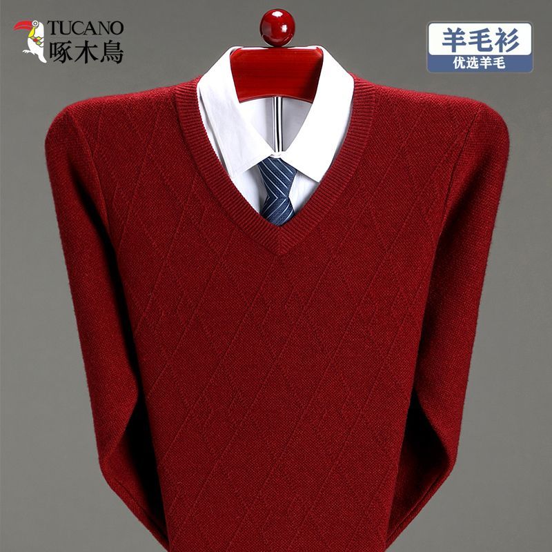 Exclusive Store Woodpecker Men's Winter Sweater