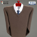Exclusive Store Woodpecker Men's Winter Sweater