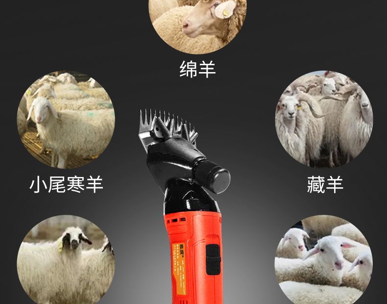 Rechargeable Lithium Electric Wool Clippers New Design