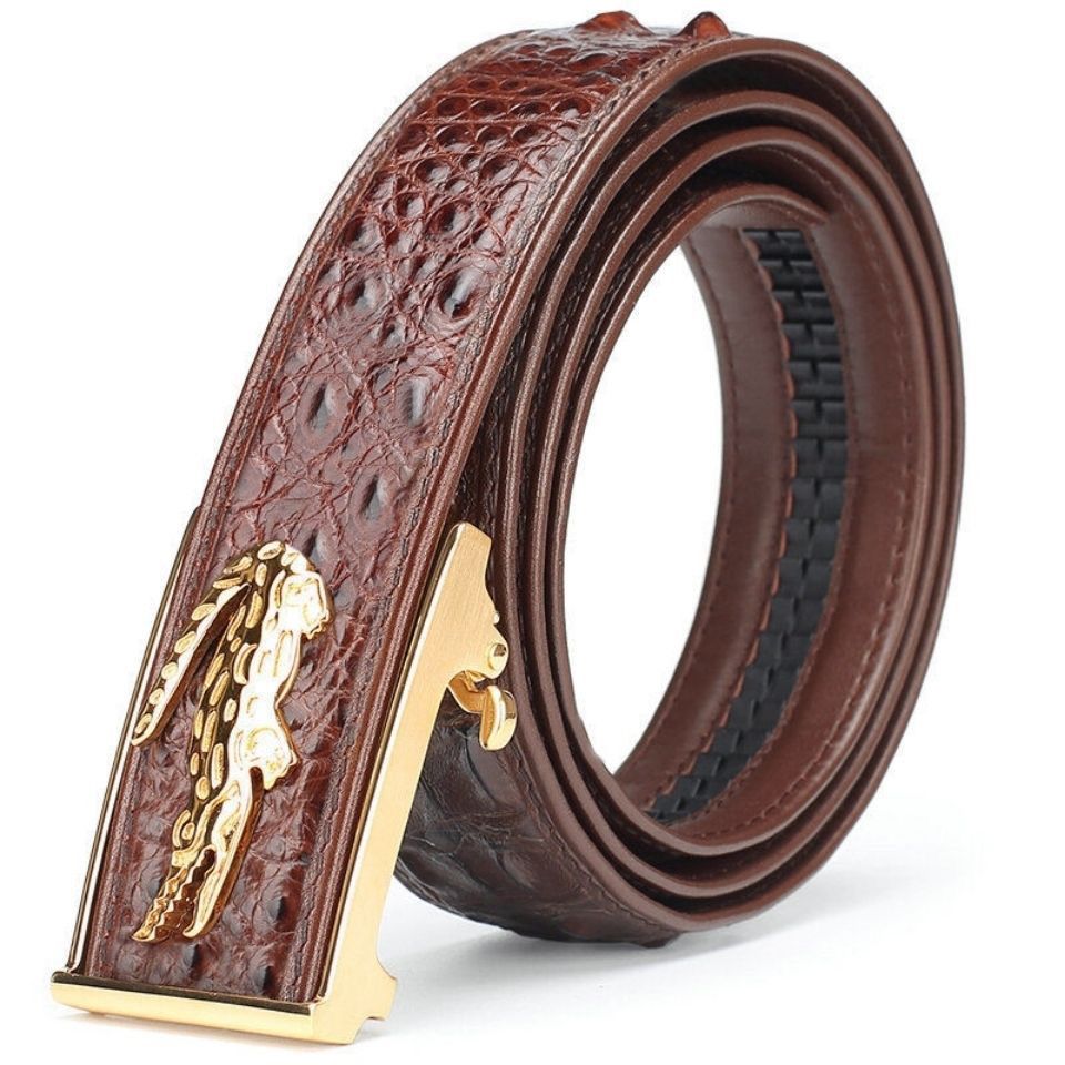 Summer Discount: Stephen's New Tower Men's Collection